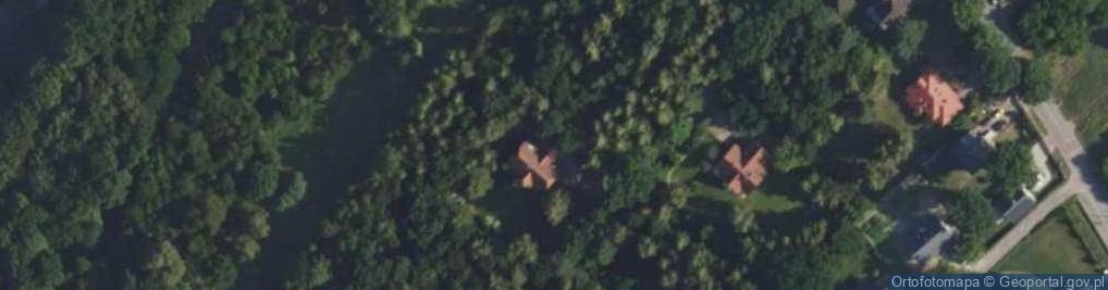 Zdjęcie satelitarne Sasów ul.