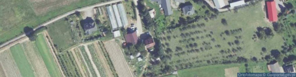 Zdjęcie satelitarne Sadek ul.