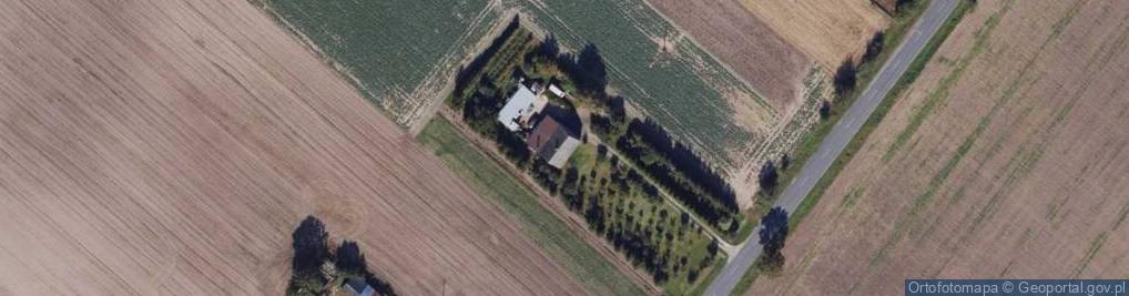 Zdjęcie satelitarne Samszyce ul.