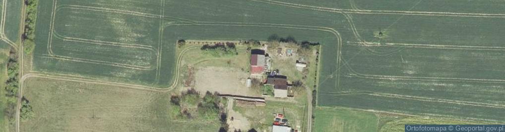 Zdjęcie satelitarne Sarbinowo ul.