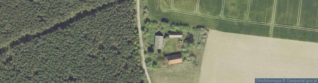 Zdjęcie satelitarne Sarbinowo ul.