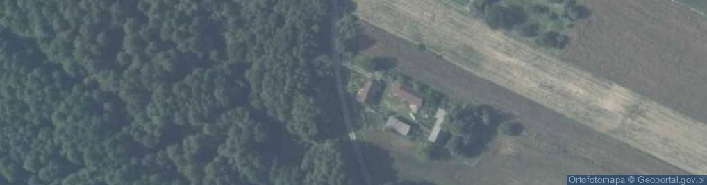 Zdjęcie satelitarne Sarnów ul.