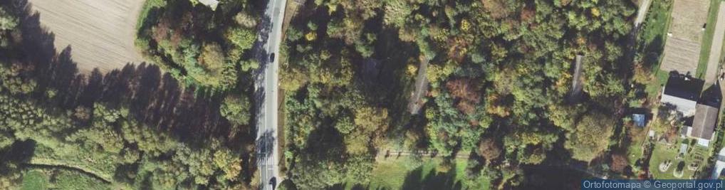 Zdjęcie satelitarne Sarnów ul.