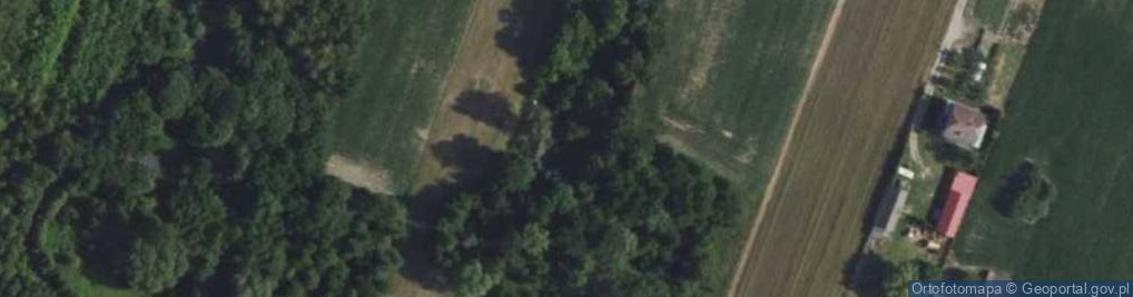 Zdjęcie satelitarne Sarnów ul.