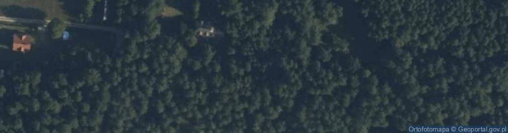 Zdjęcie satelitarne Sasek Mały ul.