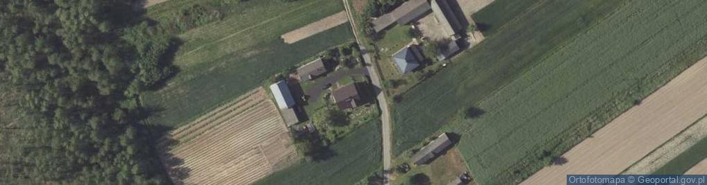 Zdjęcie satelitarne Sąsiadka ul.