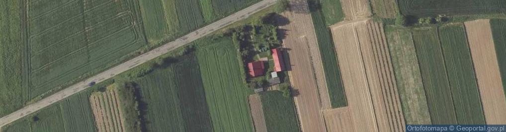 Zdjęcie satelitarne Sąsiadka ul.