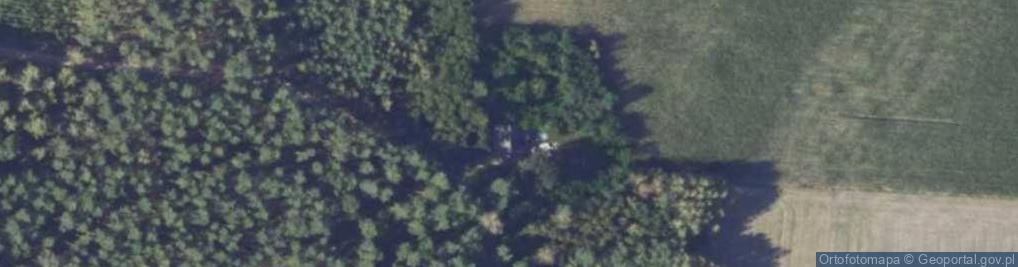 Zdjęcie satelitarne Sątrzaska ul.