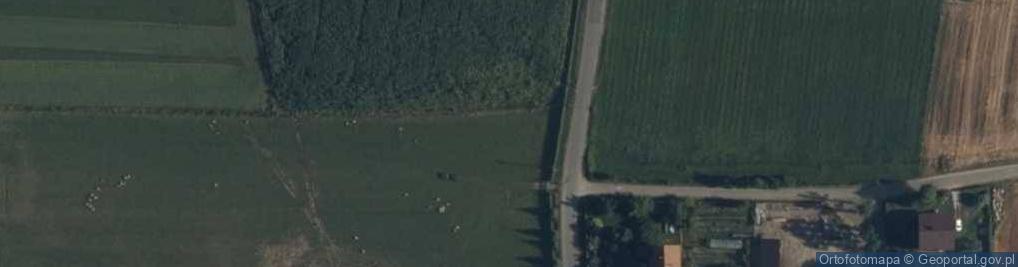 Zdjęcie satelitarne Sawice-Dwór ul.