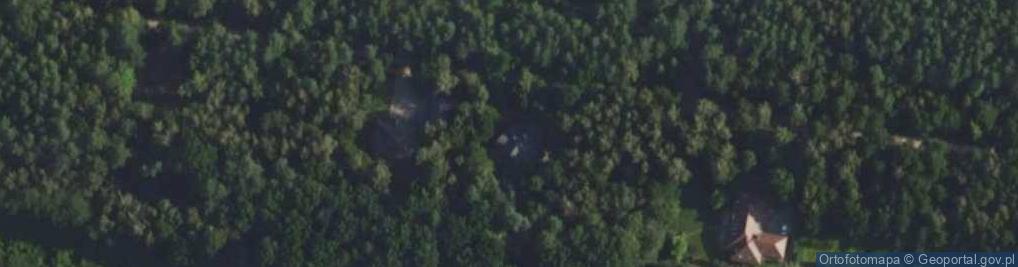 Zdjęcie satelitarne Sarnia ul.