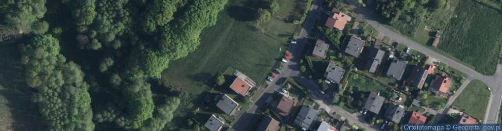 Zdjęcie satelitarne Sasankowa ul.