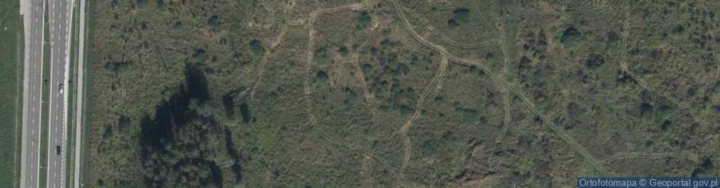 Zdjęcie satelitarne Ściegiennego Piotra, ks. ul.