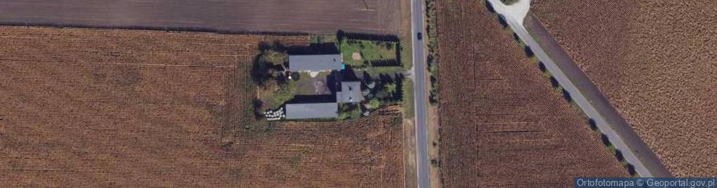 Zdjęcie satelitarne Ściborze ul.