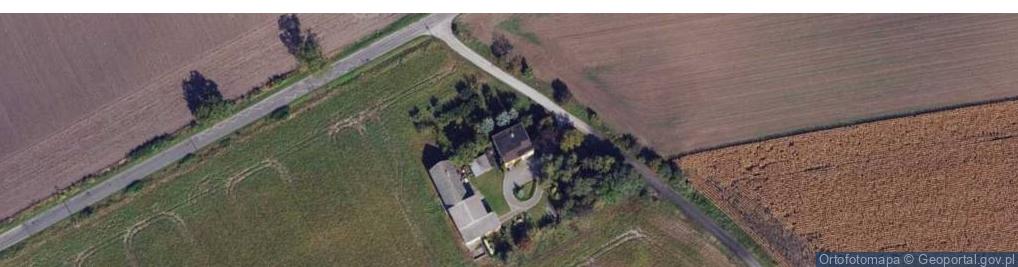 Zdjęcie satelitarne Ściborze ul.