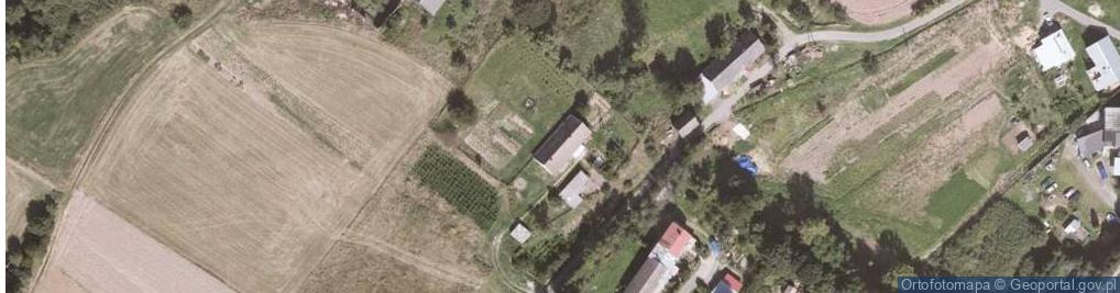 Zdjęcie satelitarne Ścinawka Dolna ul.