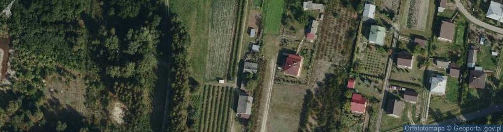 Zdjęcie satelitarne Senatorska ul.