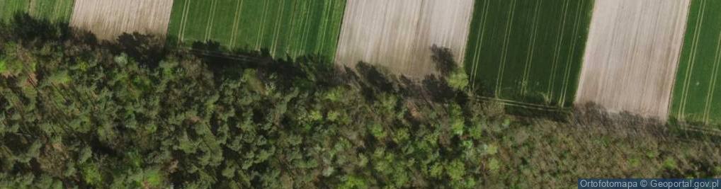 Zdjęcie satelitarne Sępia ul.