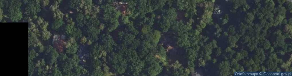 Zdjęcie satelitarne Sępów ul.