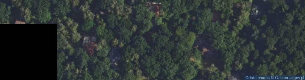 Zdjęcie satelitarne Sępów ul.