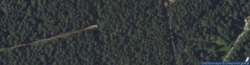 Zdjęcie satelitarne Serdeczna ul.