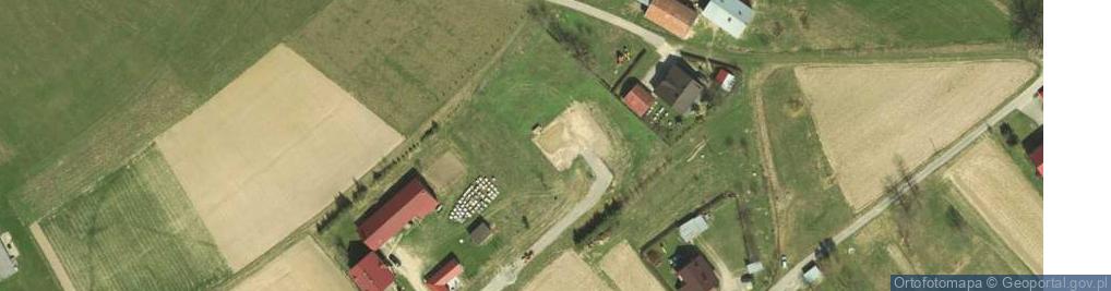 Zdjęcie satelitarne Sędziszowa ul.