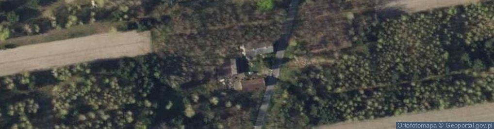 Zdjęcie satelitarne Seligów ul.