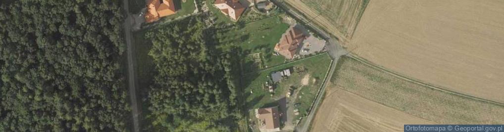 Zdjęcie satelitarne Sępów ul.