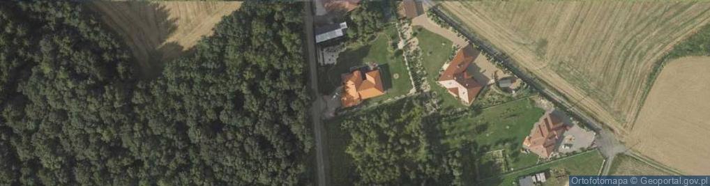 Zdjęcie satelitarne Sępów ul.