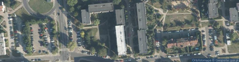 Zdjęcie satelitarne Seledynowa ul.