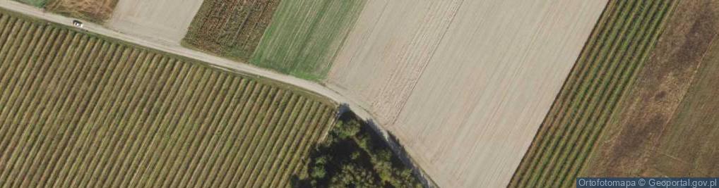 Zdjęcie satelitarne Sitnicka ul.