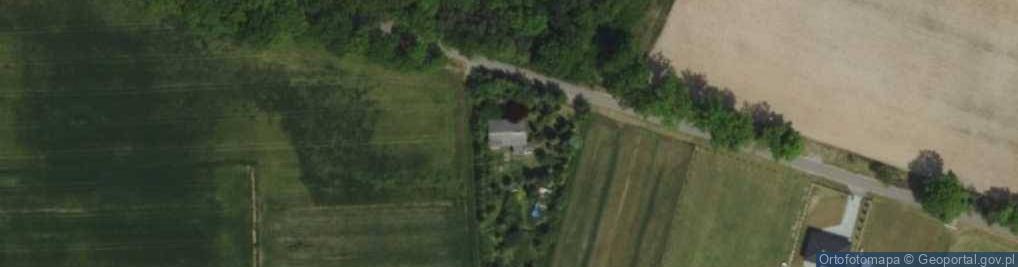 Zdjęcie satelitarne Sienkiewicza Henryka ul.