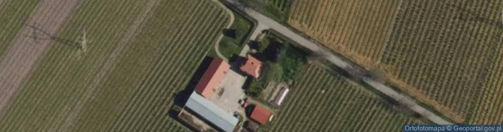 Zdjęcie satelitarne Sieciechów ul.