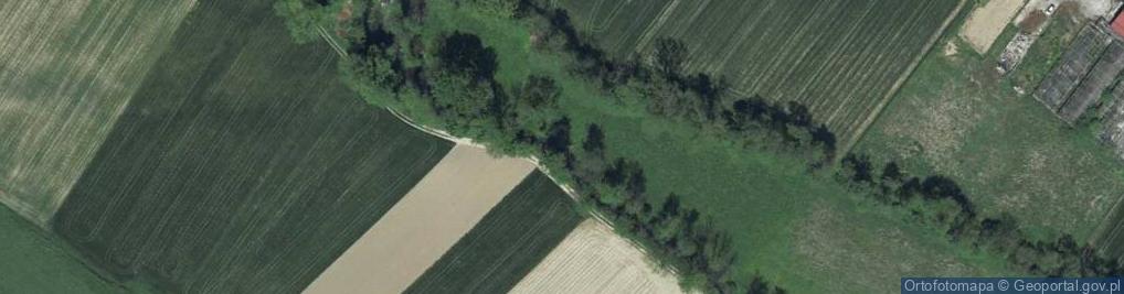Zdjęcie satelitarne Sieciechowice ul.