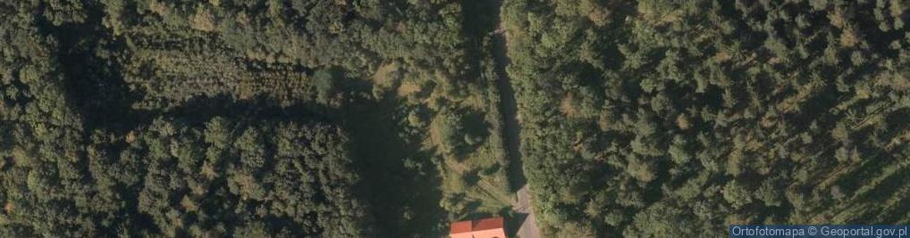 Zdjęcie satelitarne Siedlęcin ul.