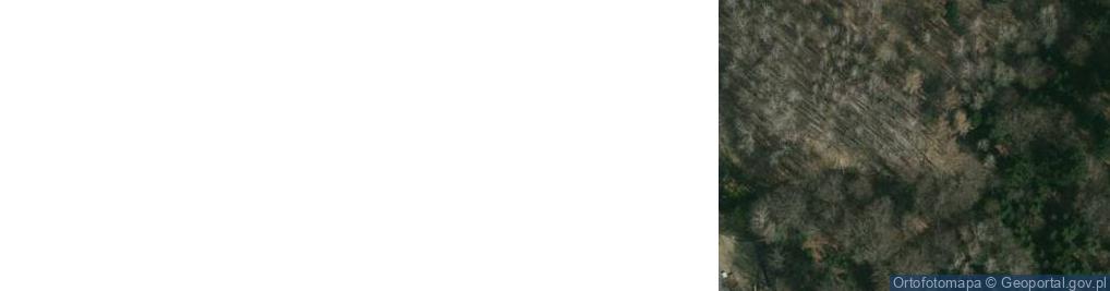 Zdjęcie satelitarne Siedliska-Bogusz ul.