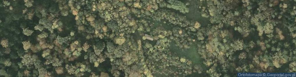 Zdjęcie satelitarne Siedliska ul.