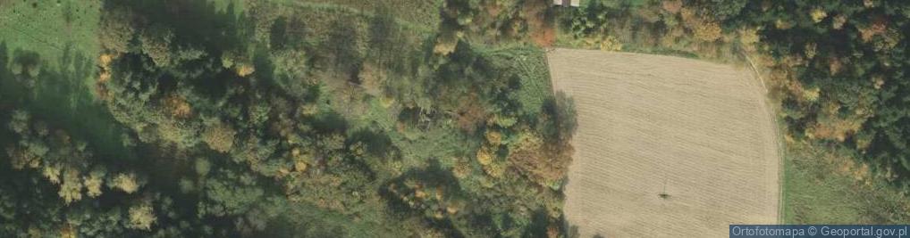 Zdjęcie satelitarne Siedliska ul.