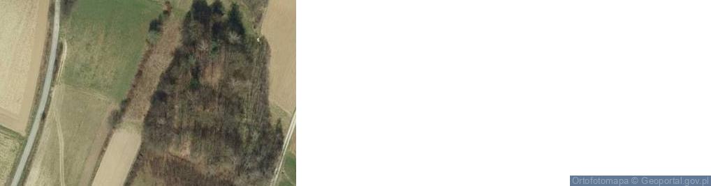 Zdjęcie satelitarne Siemiechów ul.