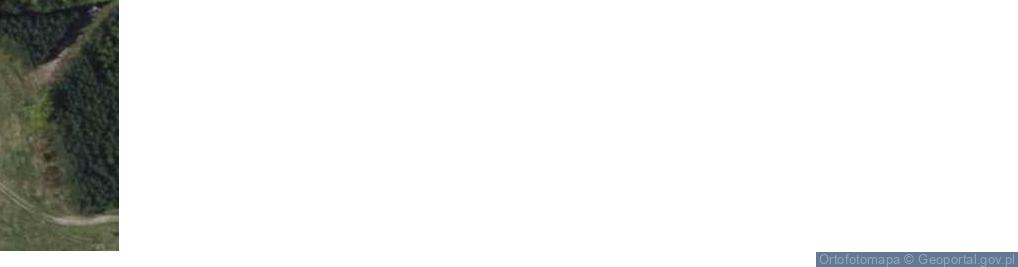 Zdjęcie satelitarne Sieniec ul.