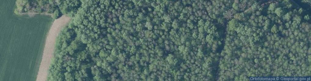 Zdjęcie satelitarne Sieniewice ul.