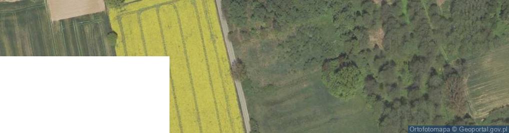 Zdjęcie satelitarne Sieprawice ul.