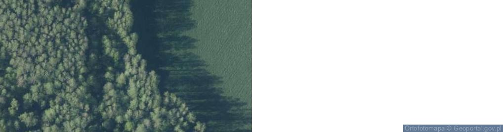 Zdjęcie satelitarne Sierakowizna ul.