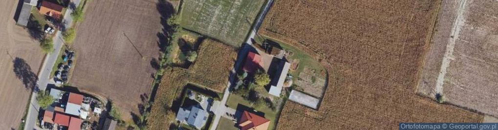 Zdjęcie satelitarne Sierakowo ul.