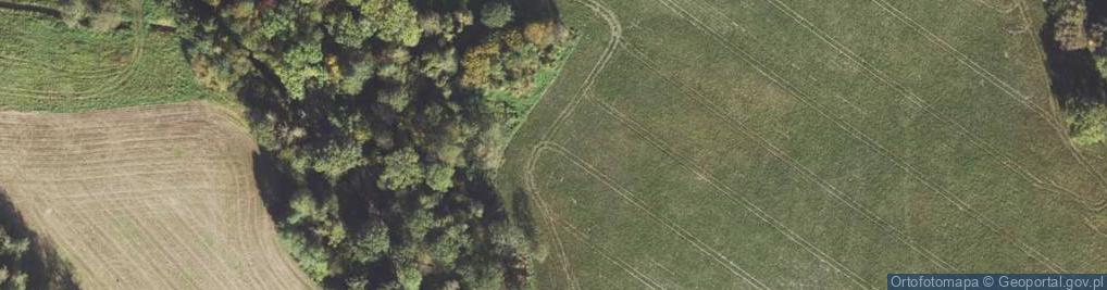 Zdjęcie satelitarne Sierosławice ul.