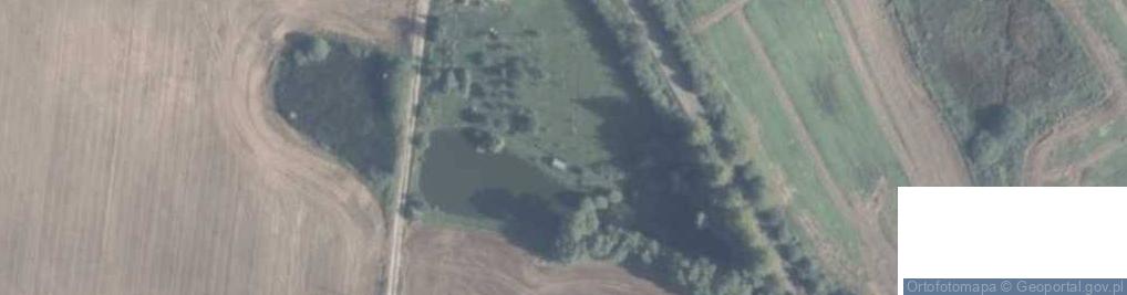 Zdjęcie satelitarne Sierpin ul.