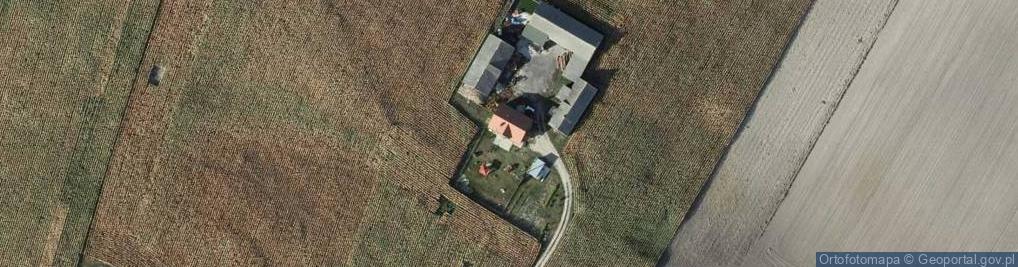 Zdjęcie satelitarne Sierzchowo ul.