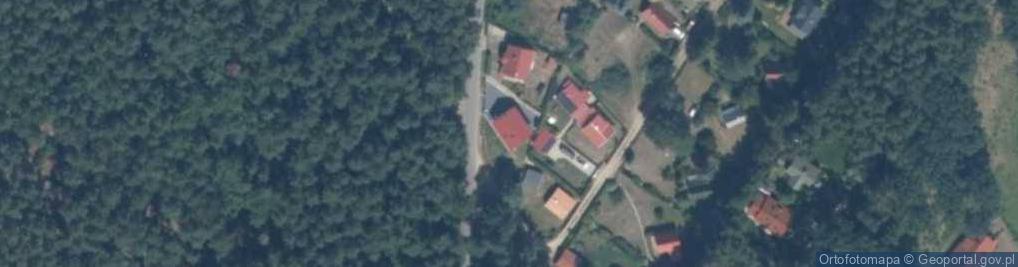 Zdjęcie satelitarne Siła ul.