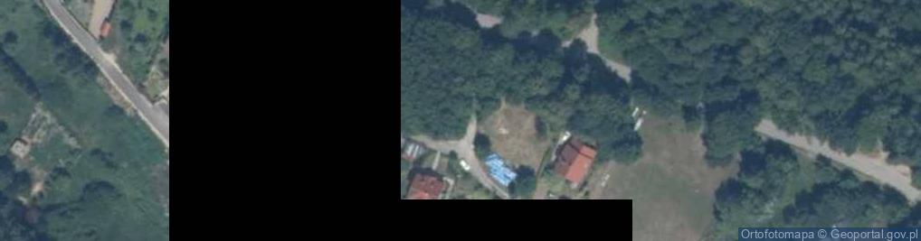 Zdjęcie satelitarne Siła ul.