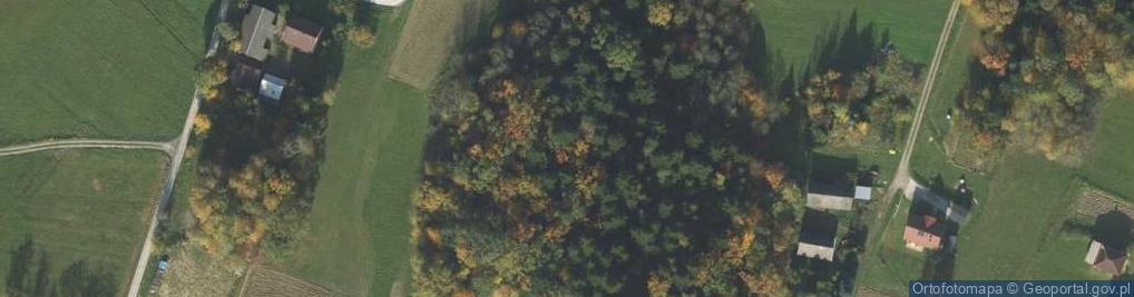 Zdjęcie satelitarne Siołkowa ul.