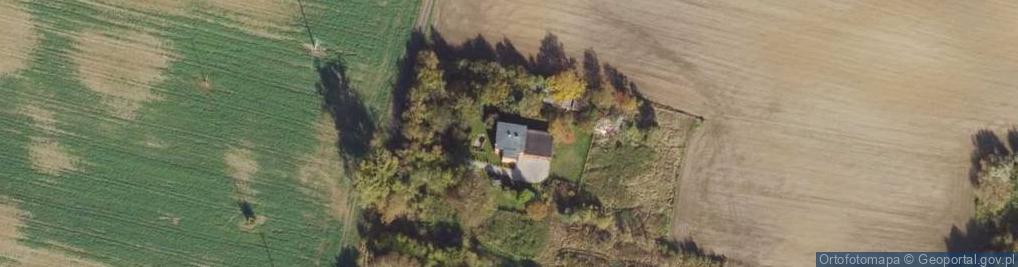 Zdjęcie satelitarne Sitno ul.